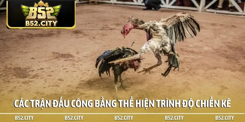 Các trận đấu công bằng thể hiện trình độ chiến kê