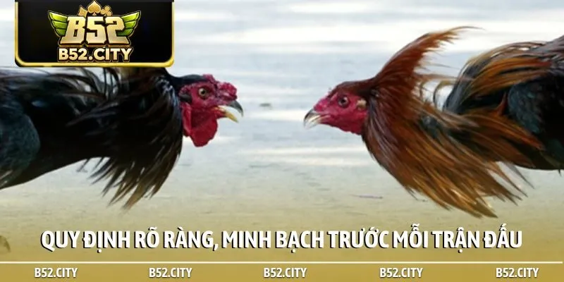 Quy định rõ ràng, minh bạch trước mỗi trận đấu