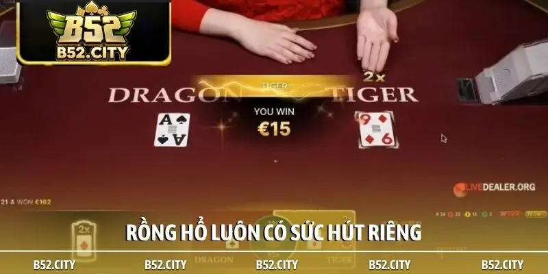 Rồng hổ luôn có sức hút riêng