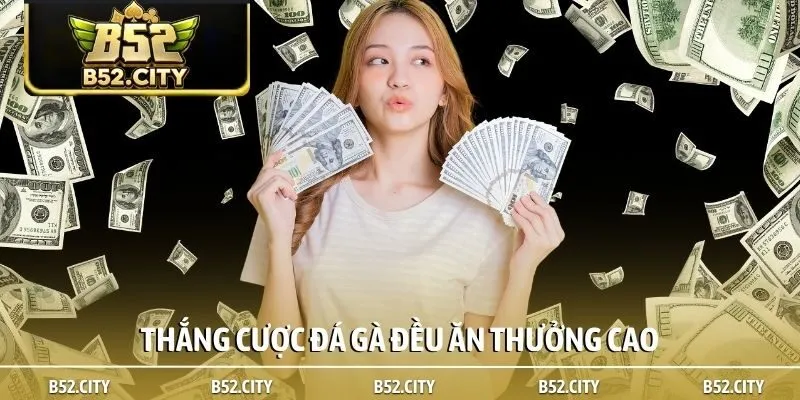 Thắng cược đá gà đều ăn thưởng cao